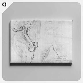 アートパネル-Anatomical drawing - トーマス エイキンズ Canvas.