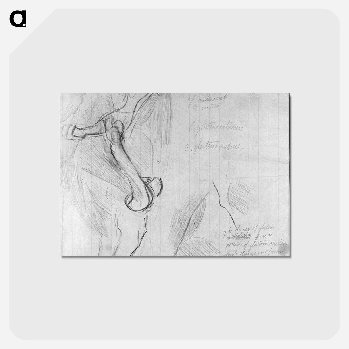 アートポストカード-Anatomical drawing - トーマス エイキンズ Postcard.