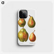 3-31_Treatise-on-Trees-and-Shrubs_phone