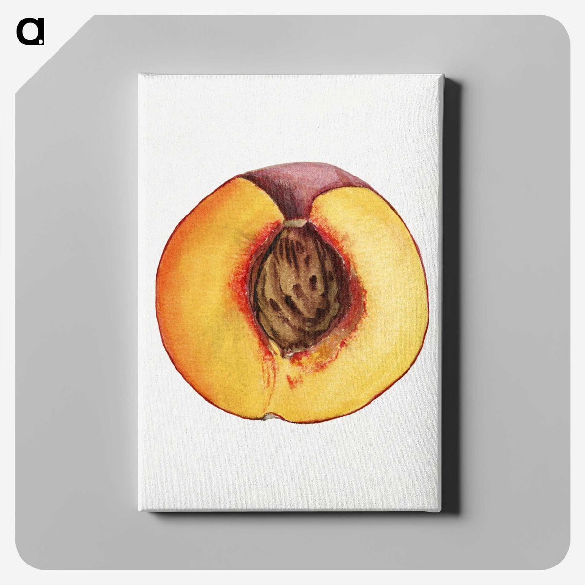 3-31_USDA-Watercolor-Fruit-Painting-Collection_canvas