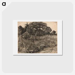 アートポストカード-Weeping Tree - フィンセント ファン ゴッホ Postcard.