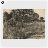 3-31_Vincent-van-Gogh_picture-crop