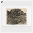 3-31_Vincent-van-Gogh_picture