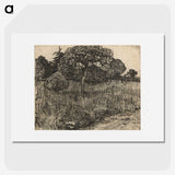 3-31_Vincent-van-Gogh_picture