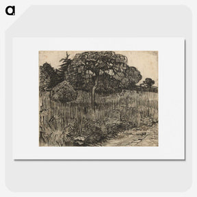 3-31_Vincent-van-Gogh_picture