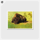 アートポストカード-Bison with Coyotes in the Background - アルバート ビアスタット Postcard.