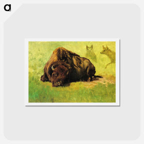 アートポストカード-Bison with Coyotes in the Background - アルバート ビアスタット Postcard.