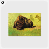 アートポストカード-Bison with Coyotes in the Background - アルバート ビアスタット Postcard.