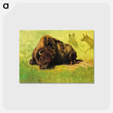アートポストカード-Bison with Coyotes in the Background - アルバート ビアスタット Postcard.