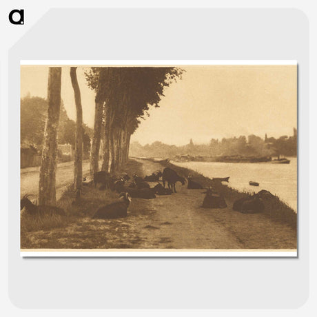 3-32_Alfred-Stieglitz_picture-crop