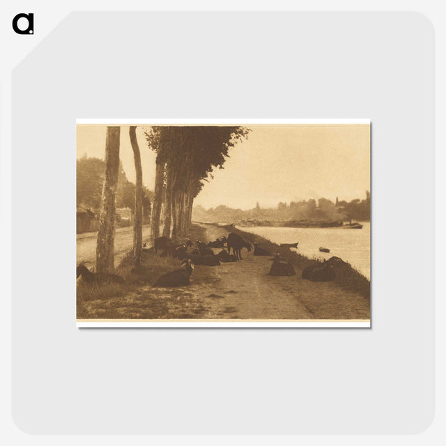3-32_Alfred-Stieglitz_postcard