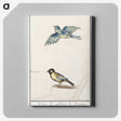 3-32_Anselmus-Boetius-de-Boodt_canvas