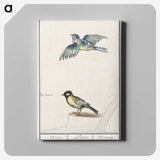3-32_Anselmus-Boetius-de-Boodt_canvas