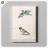 Blue tit, cyanistes caeruleus and great tit, parus major - アンセルムス ボエティウス デ ブート Canvas.