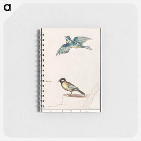 アートメモ帳-Blue tit, cyanistes caeruleus and great tit, parus major - アンセルムス ボエティウス デ ブート Memo.