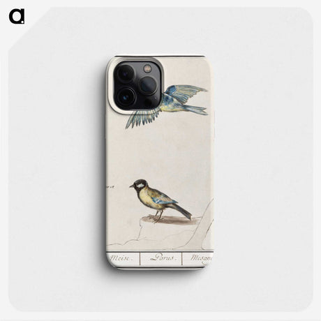 3-32_Anselmus-Boetius-de-Boodt_phone
