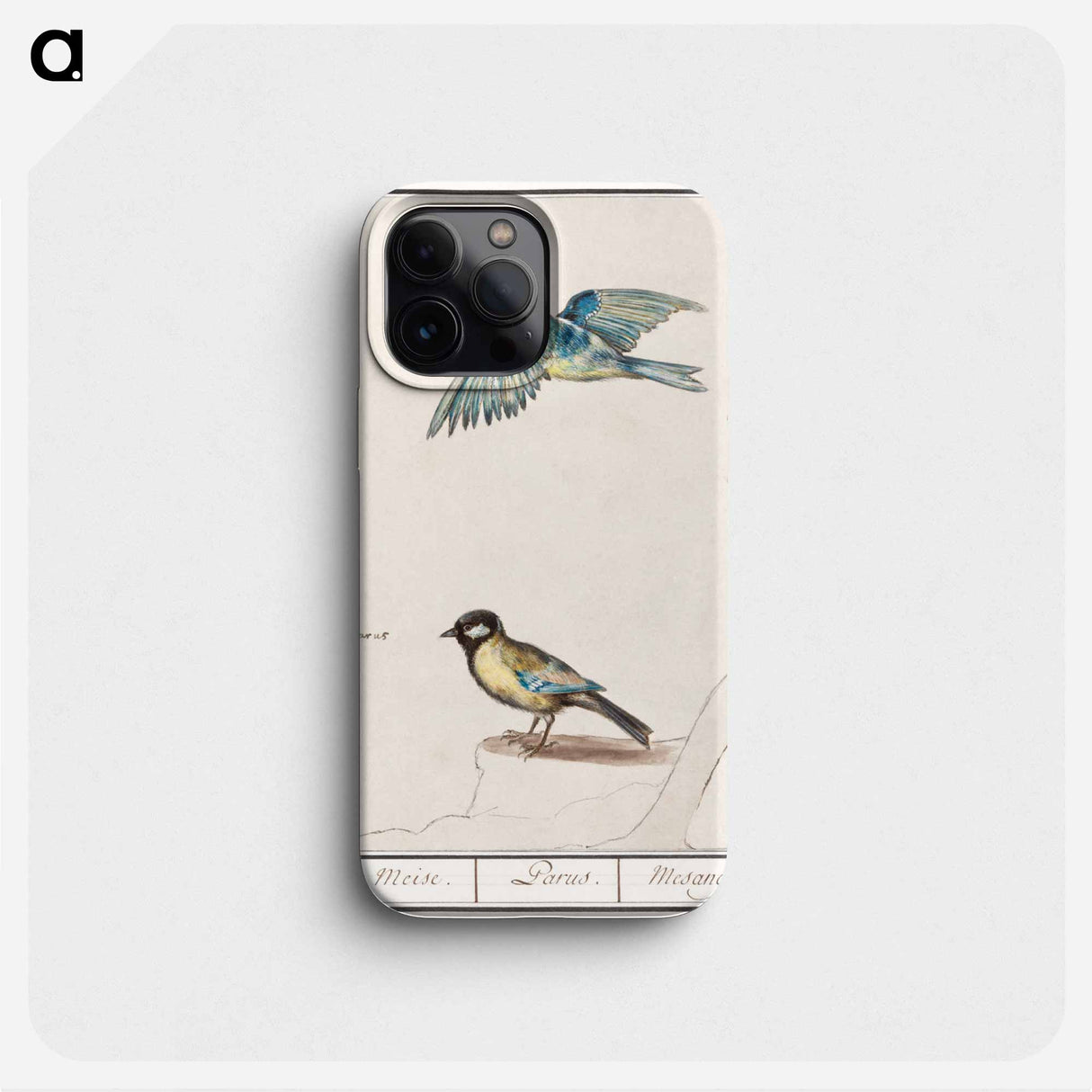 Blue tit, cyanistes caeruleus and great tit, parus major - アンセルムス ボエティウス デ ブート Phone Case.