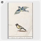 3-32_Anselmus-Boetius-de-Boodt_picture-crop