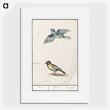 3-32_Anselmus-Boetius-de-Boodt_picture