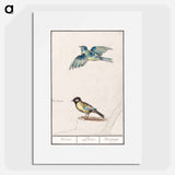 Blue tit, cyanistes caeruleus and great tit, parus major - アンセルムス ボエティウス デ ブート Poster.