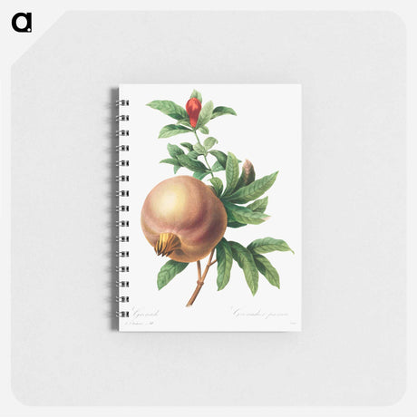 アートメモ帳-Grenade (Pomegranate)
 - クリーブランド美術館 Memo.