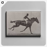 3-32_Eadweard-Muybridge_canvas