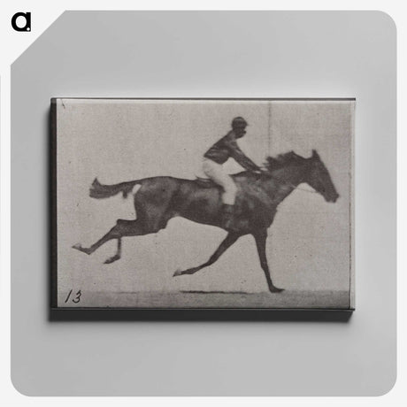 3-32_Eadweard-Muybridge_canvas
