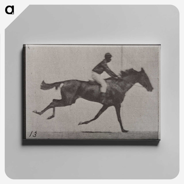 3-32_Eadweard-Muybridge_canvas
