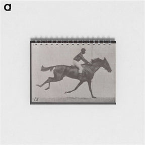 3-32_Eadweard-Muybridge_memo