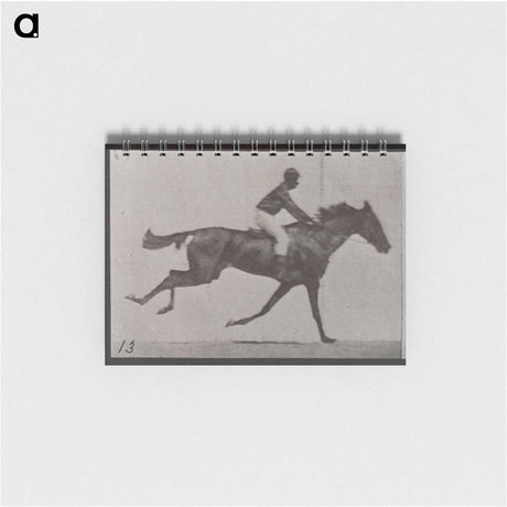 3-32_Eadweard-Muybridge_memo