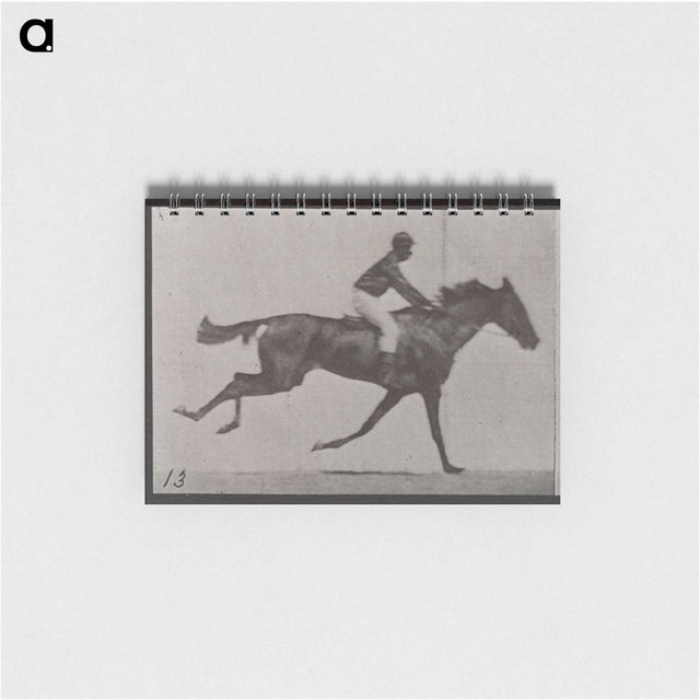 3-32_Eadweard-Muybridge_memo