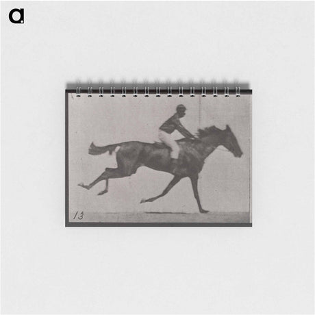 アートメモ帳-Galloping Horse and Rider
 - エドワード マイブリッジ Memo.