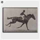 3-32_Eadweard-Muybridge_picture-crop