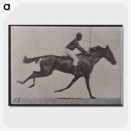 3-32_Eadweard-Muybridge_picture-crop