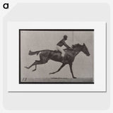 3-32_Eadweard-Muybridge_picture