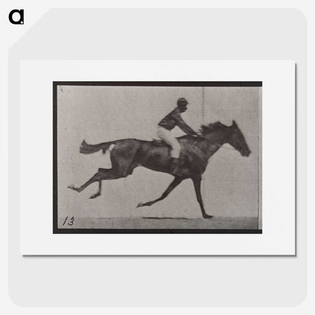 3-32_Eadweard-Muybridge_picture