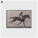 アートポストカード-Galloping Horse and Rider
 - エドワード マイブリッジ Postcard.