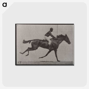 3-32_Eadweard-Muybridge_postcard