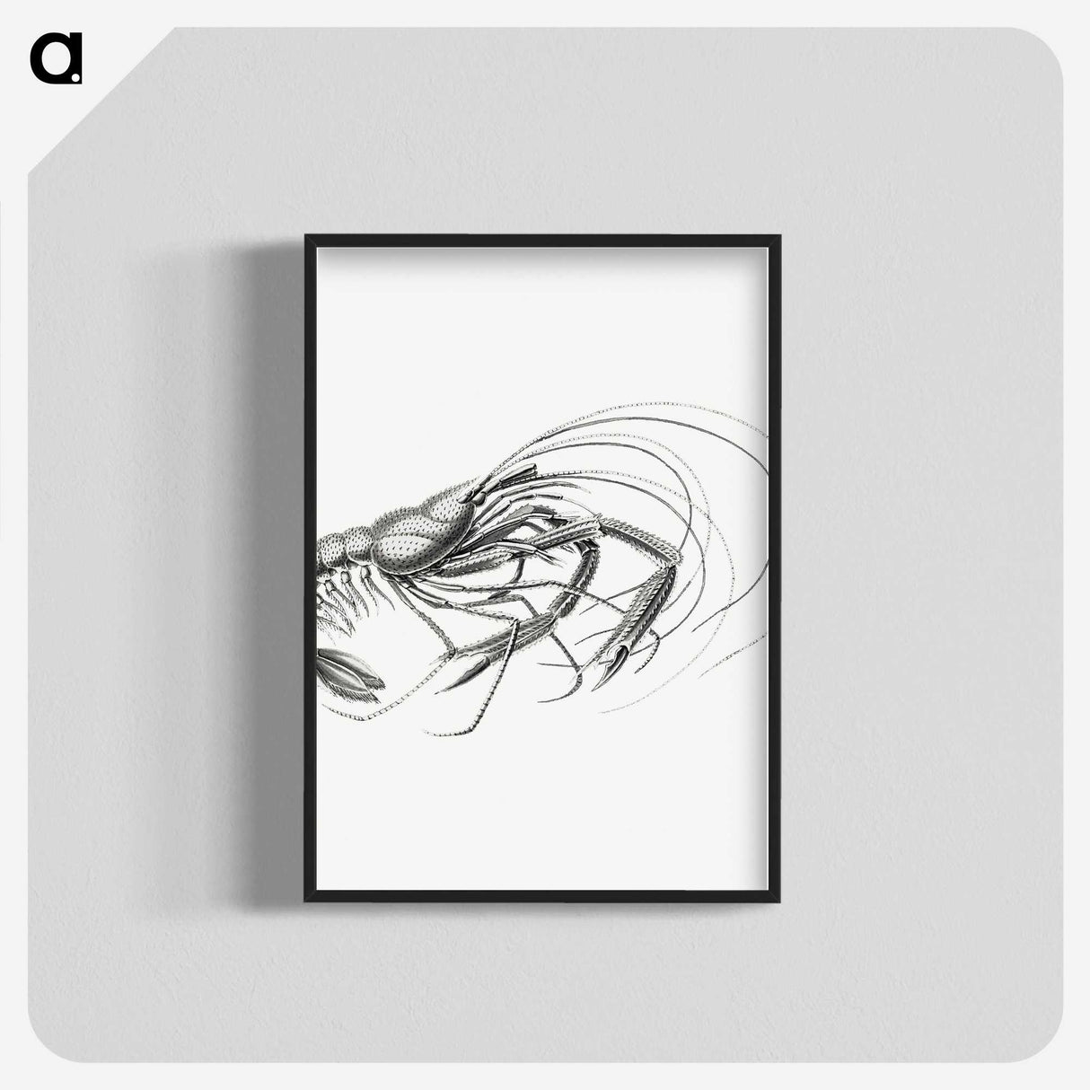 3-32_Ernst-Haeckel_blk-crop
