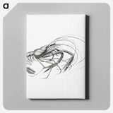Vintage prawn marine life illustration - エルンスト ヘッケル Canvas.