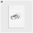 アートポストカード-Vintage prawn marine life illustration - エルンスト ヘッケル Postcard.