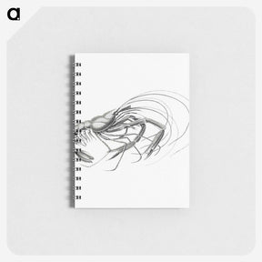 3-32_Ernst-Haeckel_memo