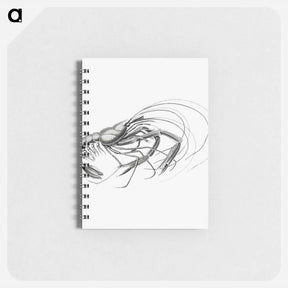 アートメモ帳-Vintage prawn marine life illustration - エルンスト ヘッケル Memo.