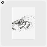 アートポストカード-Vintage prawn marine life illustration - エルンスト ヘッケル Postcard.
