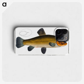 3-32_Ichtyologie-ou-Histoire-naturelle_phone