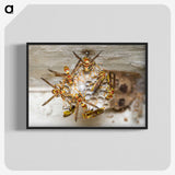 3-32_Insects-Unlocked-Project_blk-crop