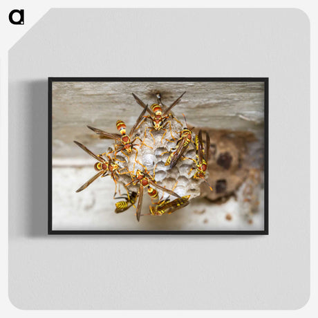 3-32_Insects-Unlocked-Project_blk-crop