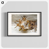3-32_Insects-Unlocked-Project_blk