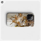 3-32_Insects-Unlocked-Project_phone