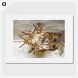 3-32_Insects-Unlocked-Project_picture